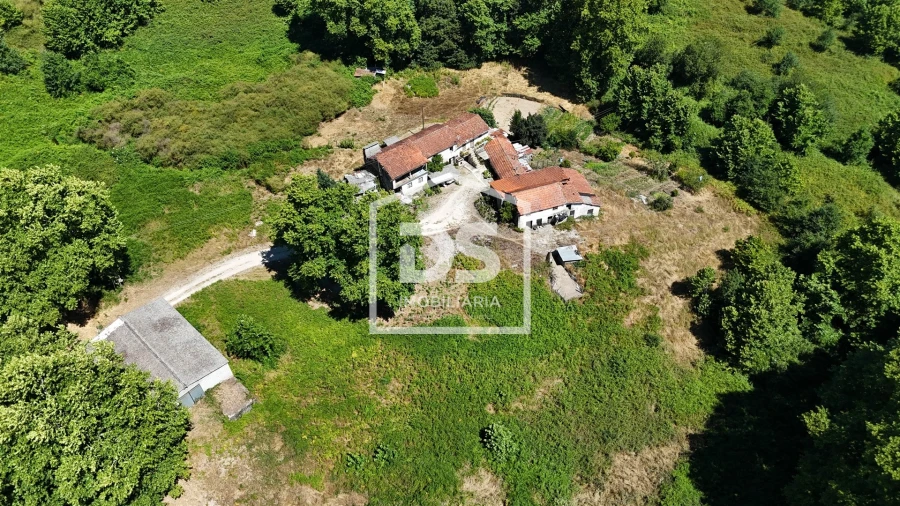 Quinta T12 para Venda em Macieira Foto 6