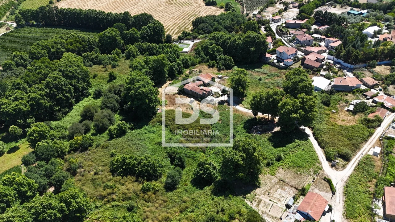 Quinta T12 para Venda em Macieira Foto 15