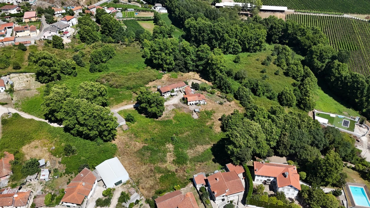 Quinta T12 para Venda em Macieira Foto 1