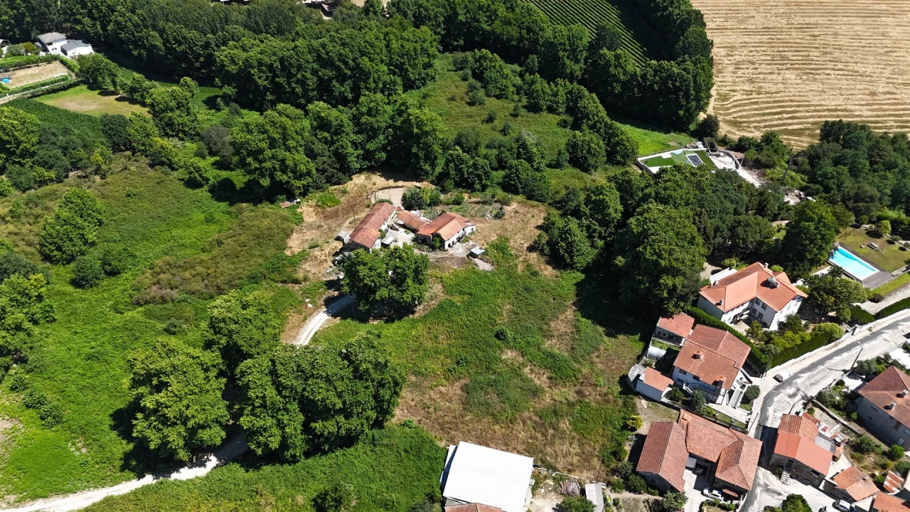Quinta T12 para Venda em Macieira Foto 2