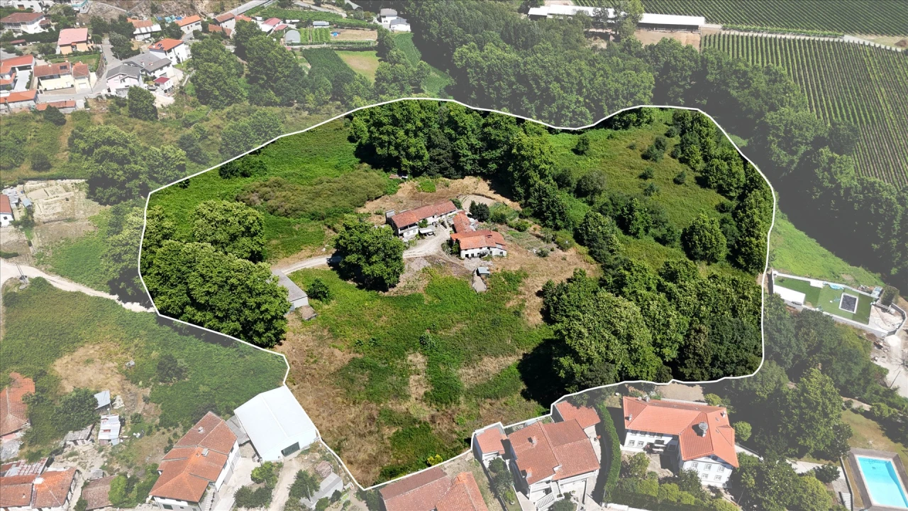 Quinta T12 para Venda em Macieira Foto 15