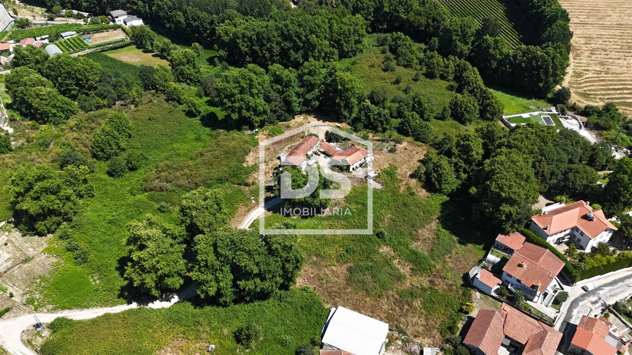 Quinta T12 para Venda em Macieira Foto 3