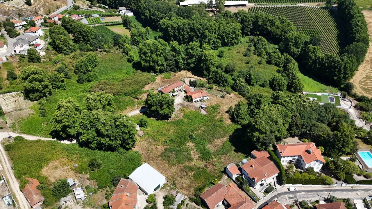 Quinta T12 para Venda em Macieira Foto 4