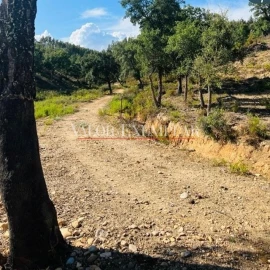 Quinta T9 para Venda em Vale de Cavalos