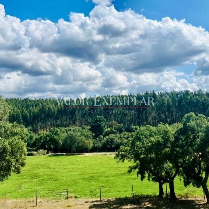 Quinta T9 para Venda em Vale de Cavalos Foto 18