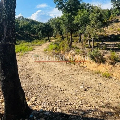 Quinta T9 para Venda em Vale de Cavalos Foto 15
