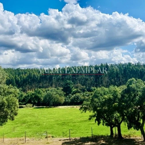 Quinta T9 para Venda em Vale de Cavalos Foto 18