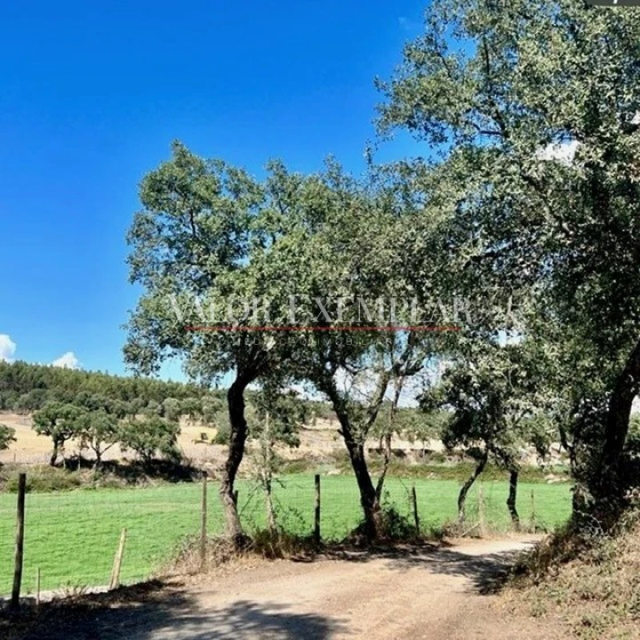 Quinta T9 para Venda em Vale de Cavalos Foto 17