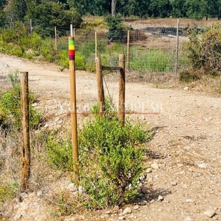 Quinta T9 para Venda em Vale de Cavalos Foto 16