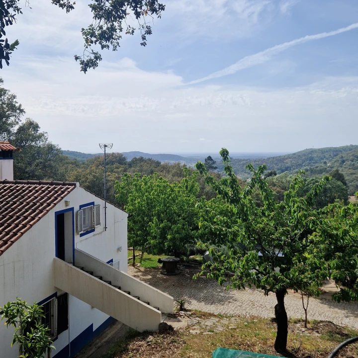 Quinta T2 para Venda em Ribeira de Nisa e Carreiras Foto 9