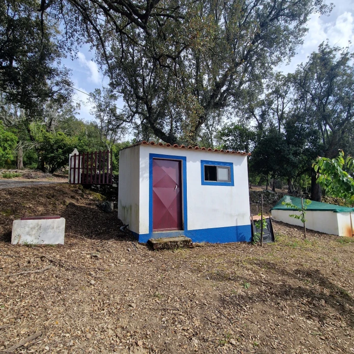 Quinta T2 para Venda em Ribeira de Nisa e Carreiras Foto 8