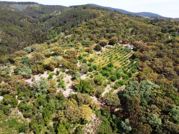 Quinta T2 para Venda em Ribeira de Nisa e Carreiras
