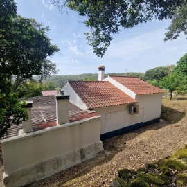 Quinta T2 para Venda em Ribeira de Nisa e Carreiras