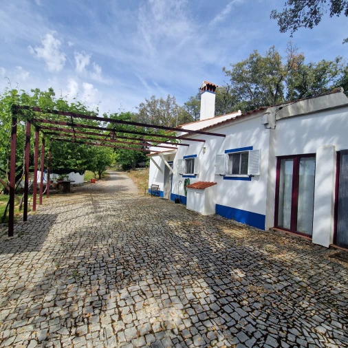 Quinta T2 para Venda em Ribeira de Nisa e Carreiras Foto 11