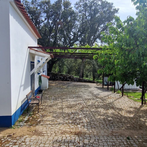 Quinta T2 para Venda em Ribeira de Nisa e Carreiras Foto 5