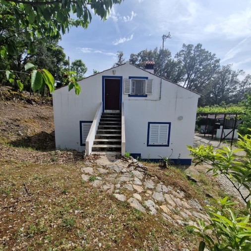 Quinta T2 para Venda em Ribeira de Nisa e Carreiras Foto 10