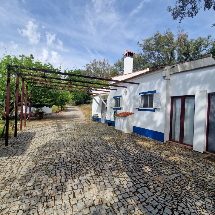 Quinta T2 para Venda em Ribeira de Nisa e Carreiras Foto 11