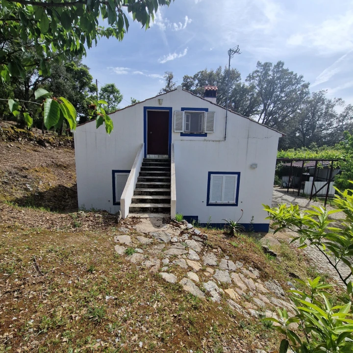 Quinta T2 para Venda em Ribeira de Nisa e Carreiras Foto 10