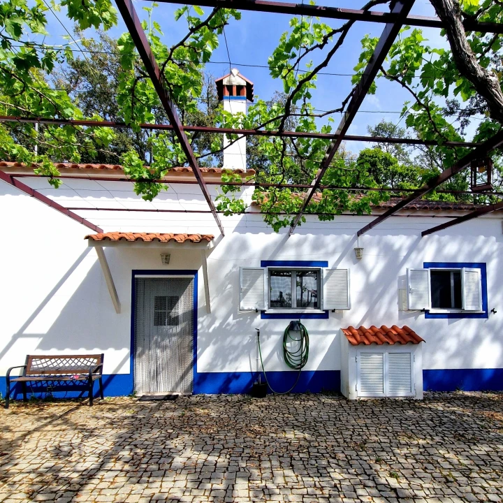 Quinta T2 para Venda em Ribeira de Nisa e Carreiras Foto 19