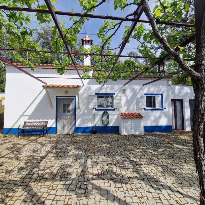 Quinta T2 para Venda em Ribeira de Nisa e Carreiras Foto 1