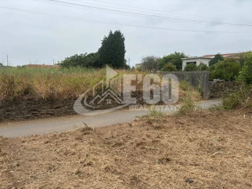 Terreno para Venda em Silvalde