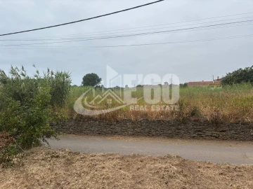 Terreno para Venda em Silvalde