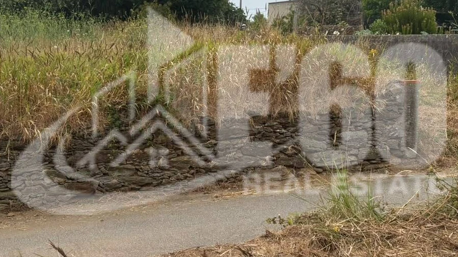 Terreno para Venda em Silvalde