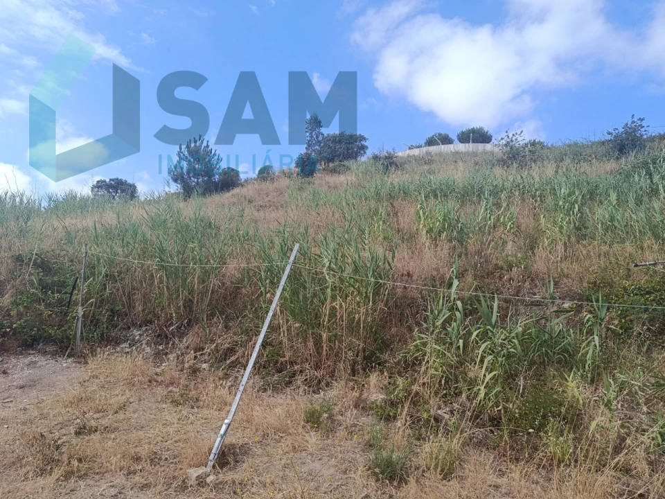 Terreno para Venda em Santa Maria, São Pedro e Matacães Foto 7