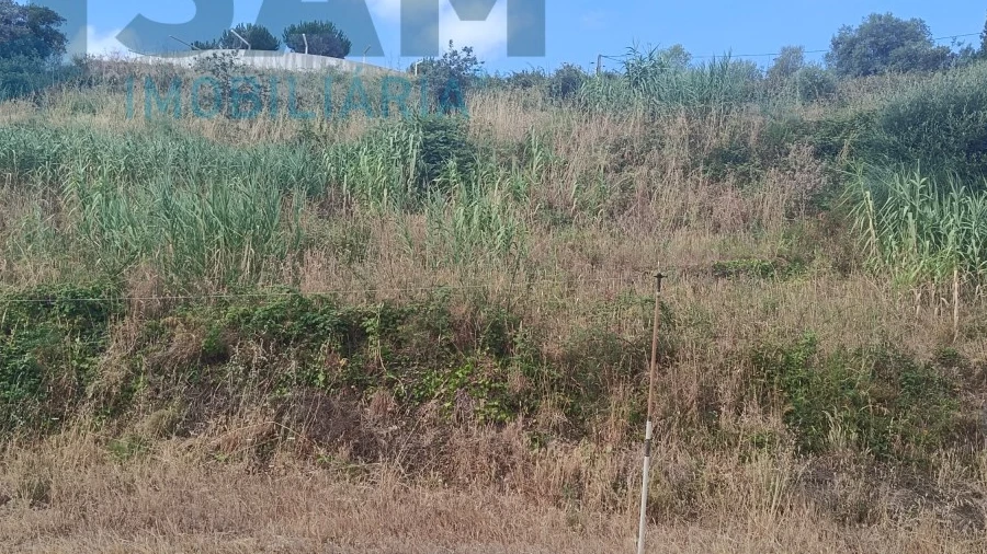 Terreno para Venda em Santa Maria, São Pedro e Matacães