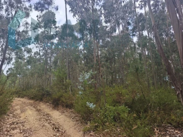 Terreno Agricola ou Rústico para Venda em Maxial e Monte Redondo