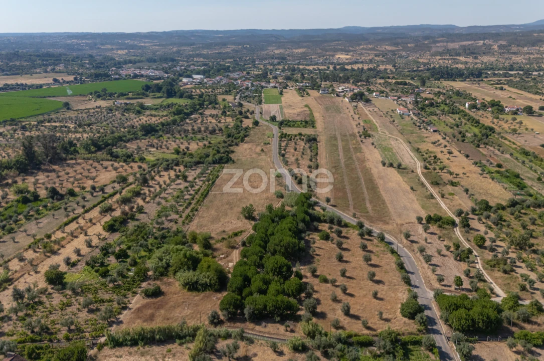 Terreno para Venda em Abrantes (São Vicente e São João) e Alferrarede Foto 9