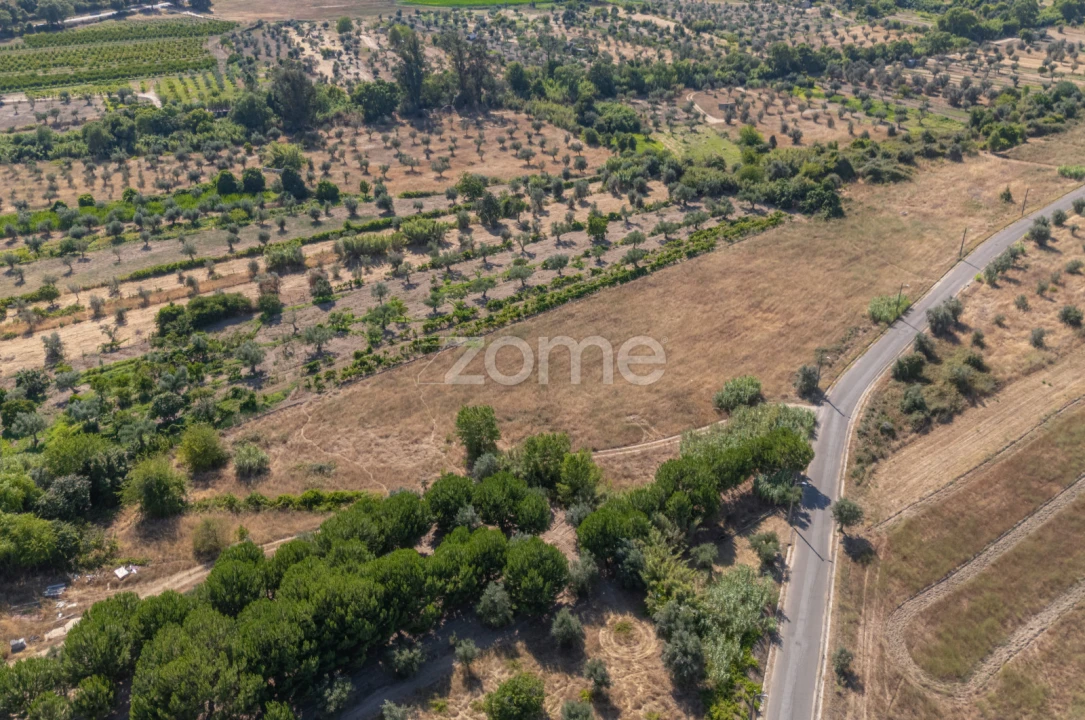 Terreno para Venda em Abrantes (São Vicente e São João) e Alferrarede Foto 11
