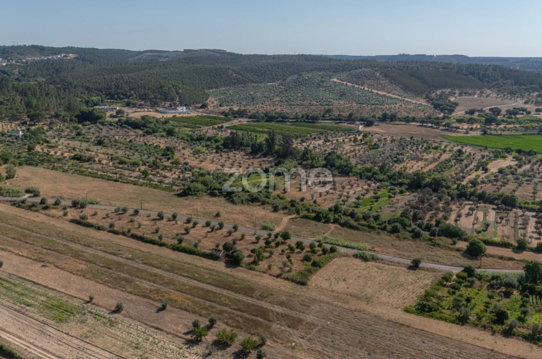 Terreno para Venda em Abrantes (São Vicente e São João) e Alferrarede Foto 13