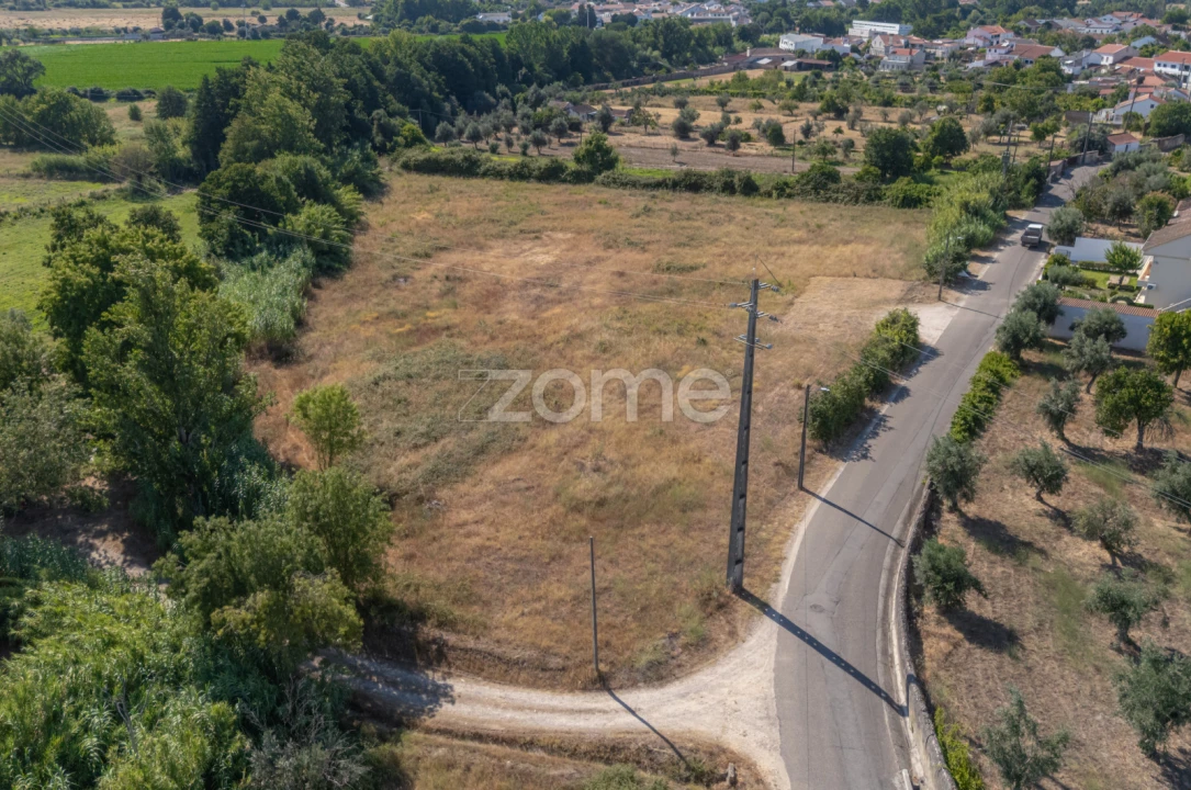 Terreno para Venda em Abrantes (São Vicente e São João) e Alferrarede Foto 21