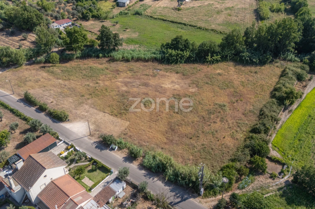 Terreno para Venda em Abrantes (São Vicente e São João) e Alferrarede Foto 24