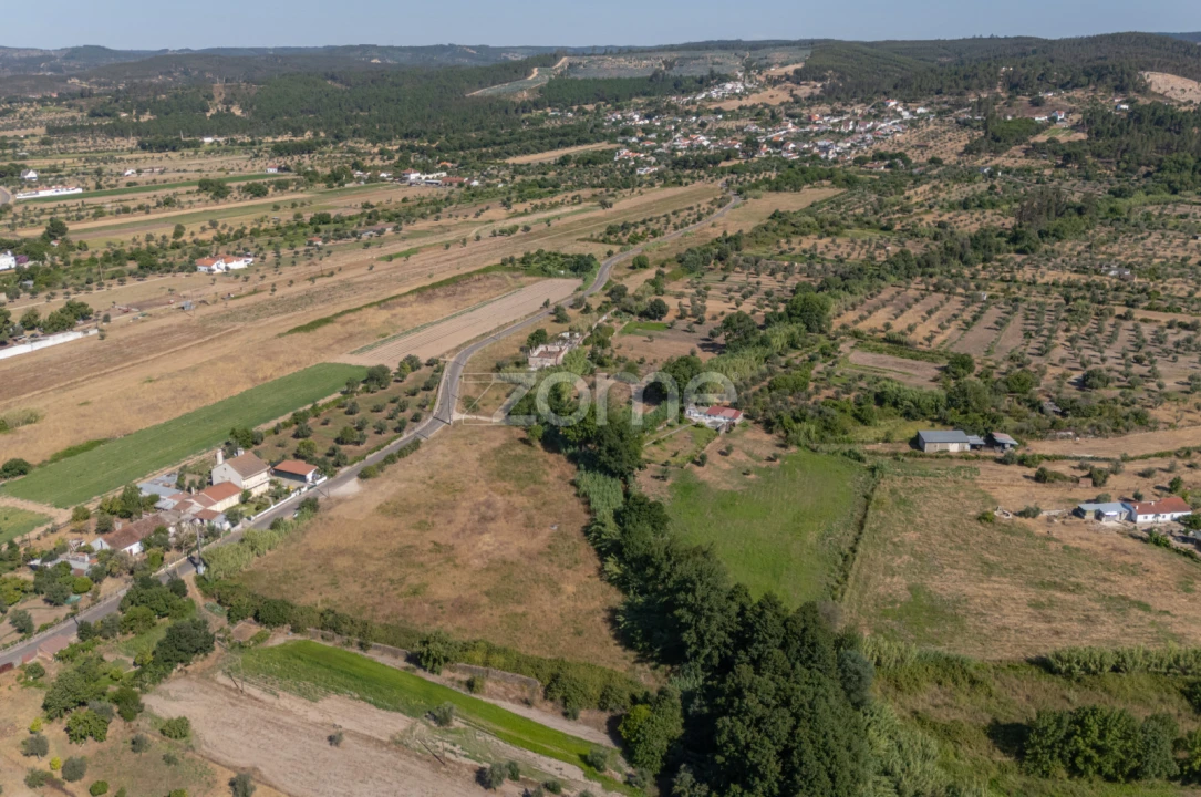 Terreno para Venda em Abrantes (São Vicente e São João) e Alferrarede Foto 3