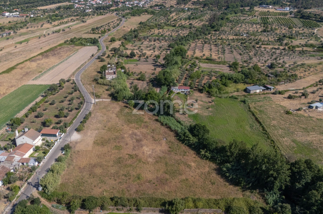 Terreno para Venda em Abrantes (São Vicente e São João) e Alferrarede Foto 26
