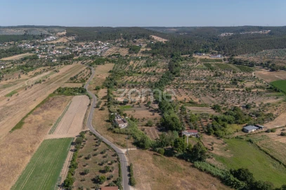Terreno para Venda em Abrantes (São Vicente e São João) e Alferrarede