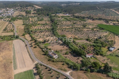 Terreno para Venda em Abrantes (São Vicente e São João) e Alferrarede