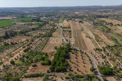 Terreno para Venda em Abrantes (São Vicente e São João) e Alferrarede