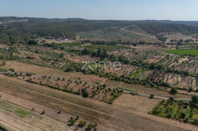 Terreno para Venda em Abrantes (São Vicente e São João) e Alferrarede