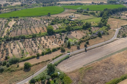 Terreno para Venda em Abrantes (São Vicente e São João) e Alferrarede