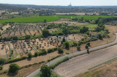 Terreno para Venda em Abrantes (São Vicente e São João) e Alferrarede
