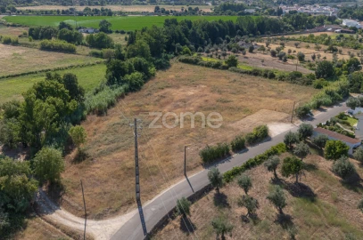 Terreno para Venda em Abrantes (São Vicente e São João) e Alferrarede