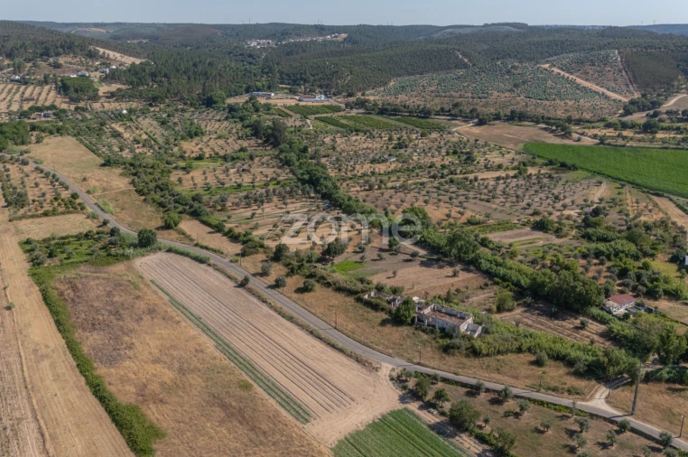 Terreno para Venda em Abrantes (São Vicente e São João) e Alferrarede Foto 7
