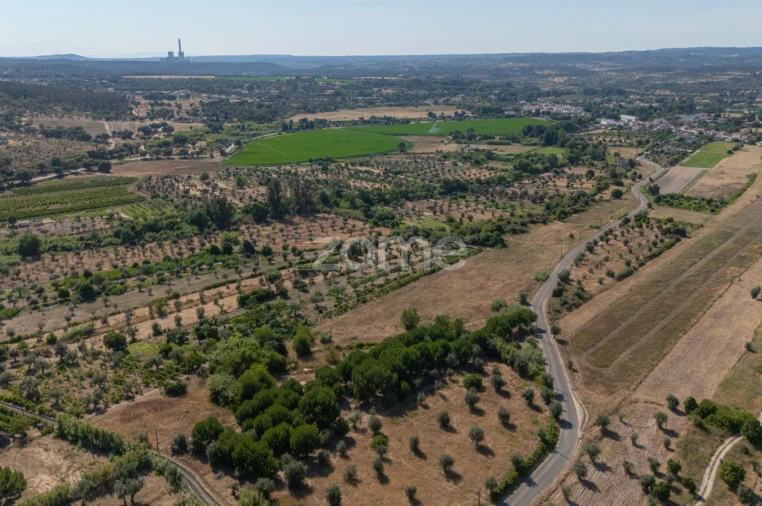 Terreno para Venda em Abrantes (São Vicente e São João) e Alferrarede Foto 8