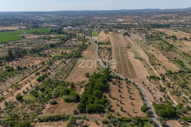 Terreno para Venda em Abrantes (São Vicente e São João) e Alferrarede Foto 9