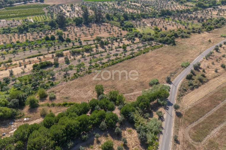 Terreno para Venda em Abrantes (São Vicente e São João) e Alferrarede Foto 11