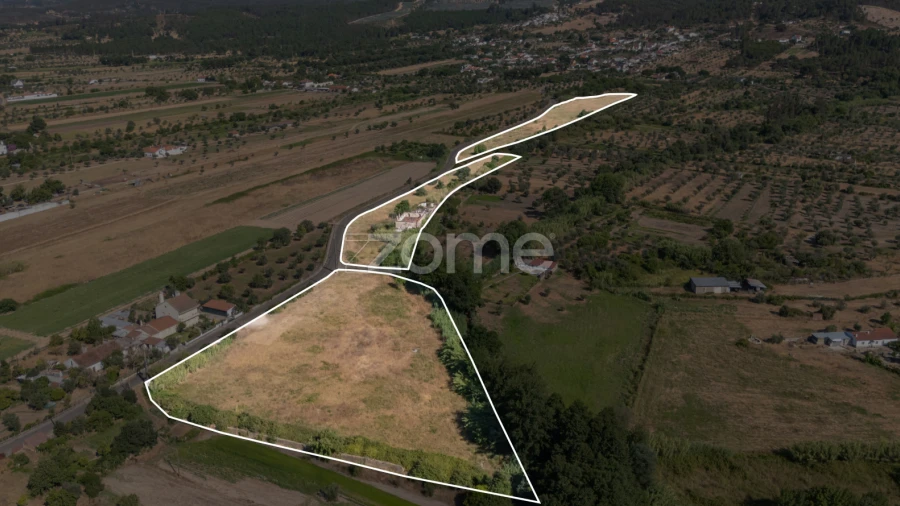 Terreno para Venda em Abrantes (São Vicente e São João) e Alferrarede