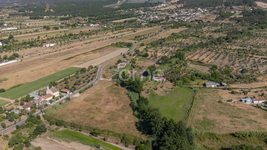 Terreno para Venda em Abrantes (São Vicente e São João) e Alferrarede